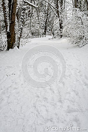 Snow covered path in a wooded winter landscape Stock Photo