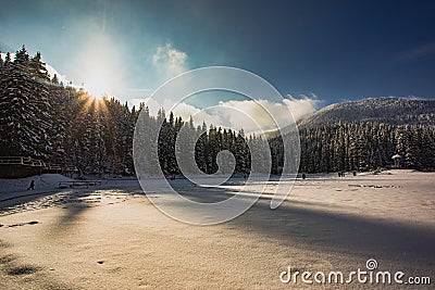 Snow covered pine trees at the mountains Stock Photo