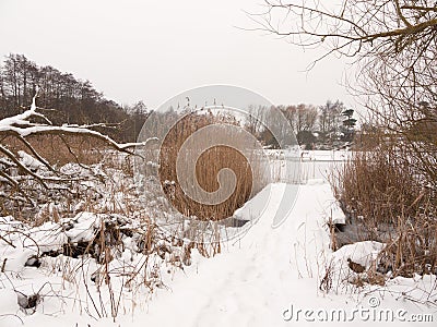 Snow covered pontoon near lake with reeds frozen winter day Stock Photo