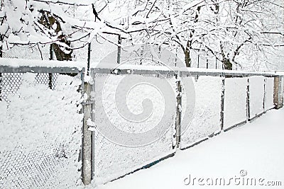 Snow-covered Rabitz grid Stock Photo