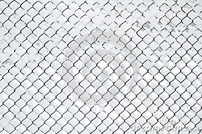 Snow-covered Rabitz grid Stock Photo