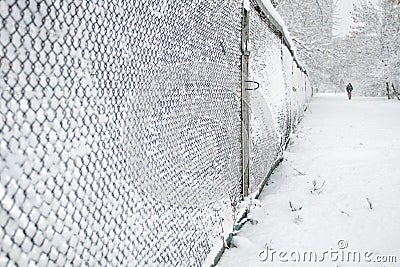 Snow-covered Rabitz grid Stock Photo