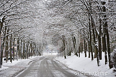 Snow covered road in a snowy white winter forest in Bad Fussing, Bavaria, Germany. Stock Photo