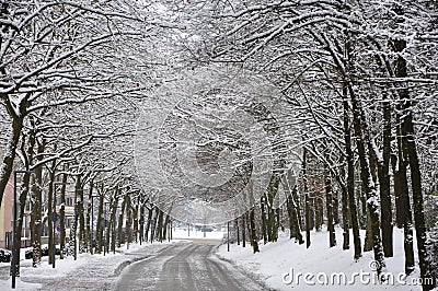 Snow covered road in a snowy white winter forest in Bad Fussing, Bavaria, Germany. Stock Photo