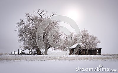 Snow covered rural farmhouse in Winter Stock Photo