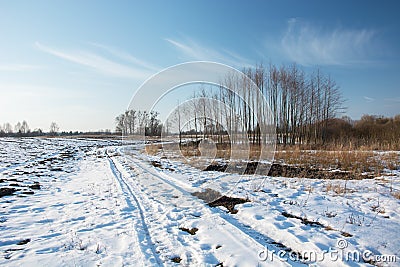 Snow-covered rural road through fields. Coppice and blue sky Stock Photo