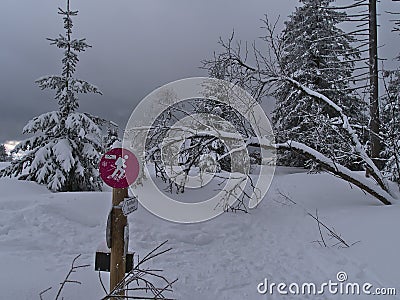 Snow-covered snowshoe hiking path with footprints and trail marking in winter landscape in Black Forest. Editorial Stock Photo