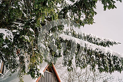 Snow-covered spruce branches hang over the triangular roof of the house Stock Photo