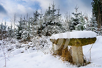 Snow-covered stone bench in winter Stock Photo