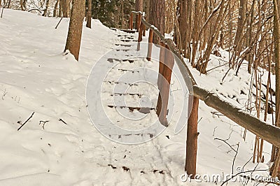 Snow-covered tourist stairs woods Stock Photo