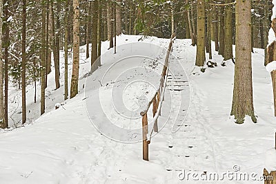 Snow-covered tourist stairs woods Stock Photo