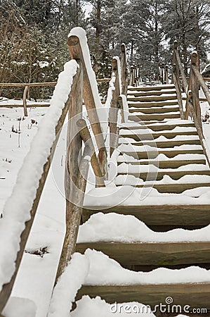 Snow-covered tourist stairs woods Stock Photo