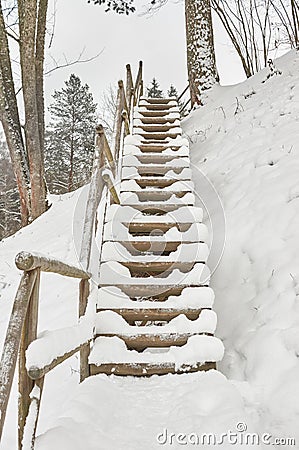 Snow-covered tourist stairs woods Stock Photo