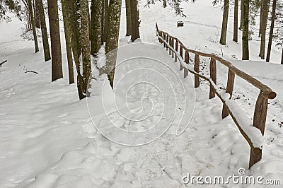 Snow-covered tourist stairs woods Stock Photo