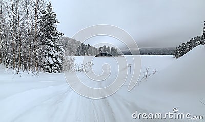 Snow-covered track of snowmobiles among frozen trees overlooks expanse of lake Stock Photo