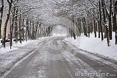 Snow covered trees and leaves in Bad Fussing, Germany.Road in the mountains covered with snow. Stock Photo