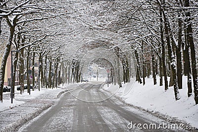Snow covered trees and leaves in Bad Fussing, Germany.Road in the mountains covered with snow. Stock Photo