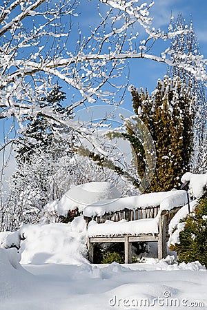 Snow covered wood bench in a snowy winter garden landscape, trees and bushes against a blue sky and white clouds Stock Photo