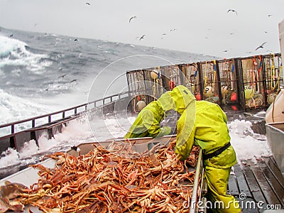 Snow crab (Chionoecetes bairdi) fishing in Alaska Stock Photo