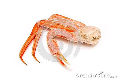 Snow crab (Chionoecetes opilio) or Tanner crab clusters isloted Stock Photo