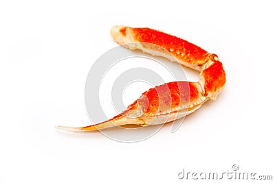 Snow crab (Chionoecetes opilio) or Tanner crab. Stock Photo