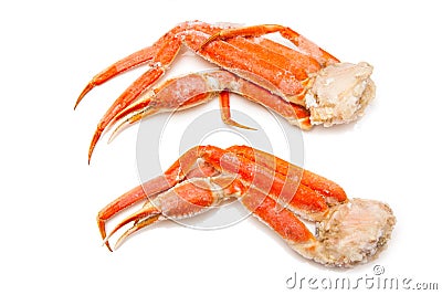 Snow crab (Chionoecetes opilio) or Tanner crab. Stock Photo