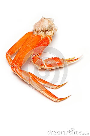 Snow crab (Chionoecetes opilio) or Tanner crab. Stock Photo