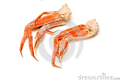 Snow crab (Chionoecetes opilio) or Tanner crab. Stock Photo