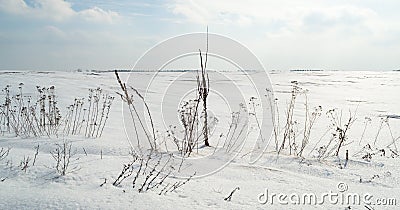 Snow crust in the field, weather phenomenon Stock Photo