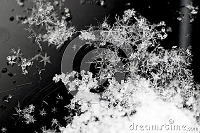 Snow Crystals Stock Photo