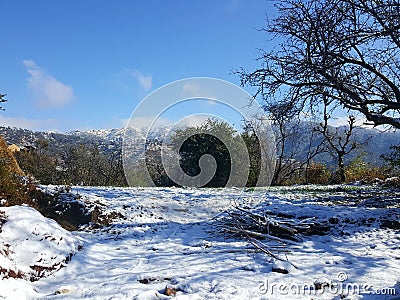 Snow fall beautiful image winter wallpaper for mobile and desktop Stock Photo