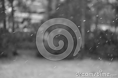 Snow falling in the dull and dreary winter Stock Photo