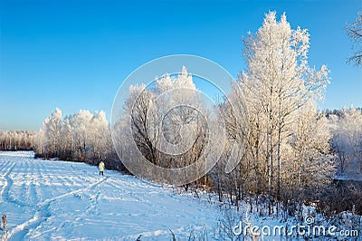 The snow field and rime of forest Stock Photo