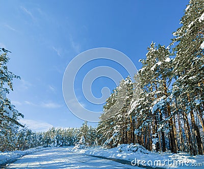 Snow, forest and mountain road or outdoor winter in Canada for environment explore, holiday or cold weather. Woods Stock Photo
