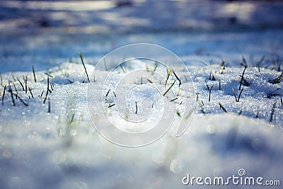 Snow with grass coming through Stock Photo