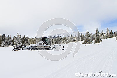 Snow groomer prepares ski cross-country route, ski track on fre Editorial Stock Photo