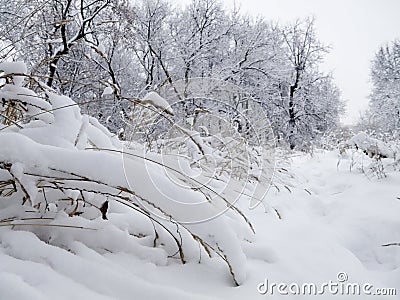 Snow ground Stock Photo