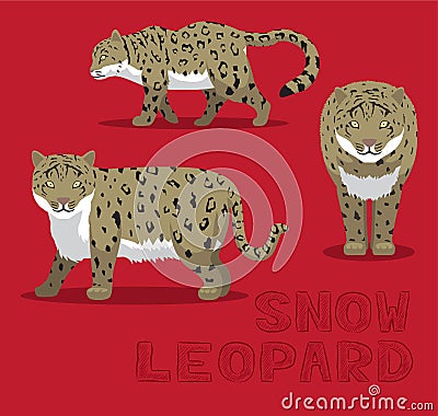 Snow Leopard Cartoon Vector Illustration Vector Illustration