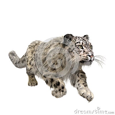 Snow Leopard running. 3D illustration isolated on white Cartoon Illustration