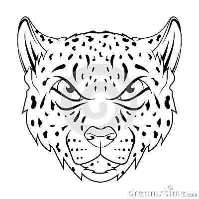 Snow leopard. Vector illustration of a sketch irbis wild cats. Bars isolated on white background Vector Illustration