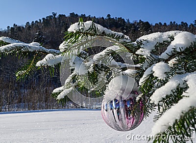 Snow lying on the branches of spruce is perfectly poured, the village East where a real winter a lot of snow which shimmers under Stock Photo