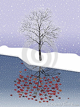 Snow maple. Vector Illustration