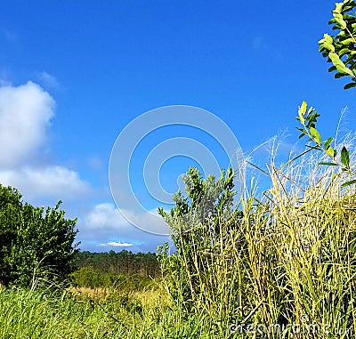 Snow on mauna kea landscape Stock Photo