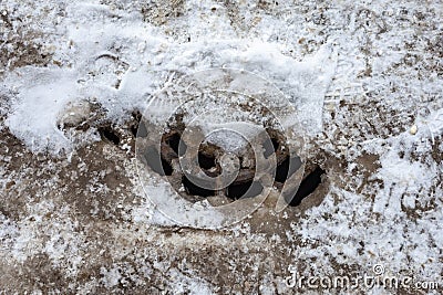 Snow melted around the drain manhole cover Stock Photo