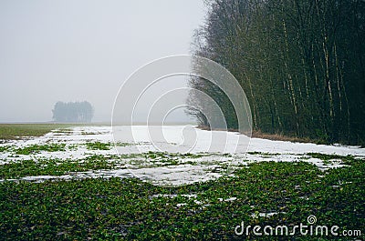 the snow melts in the spring field Stock Photo