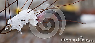 Snow melts on tree branches, city street, selective focus Stock Photo