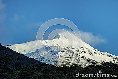 Snow mountain in aspiring national park westcoast southland new zelaand Stock Photo