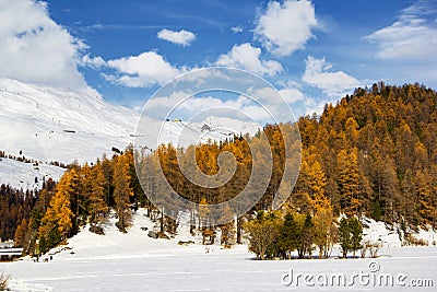 Snow mountain with last yellow color from larch trees Stock Photo