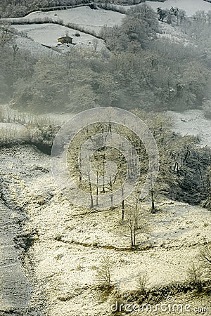 Snow on mountain trees Stock Photo