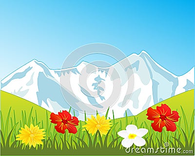 Snow mountains and glade with flower Vector Illustration